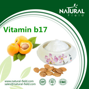 Amygdalin Extract / Bitter Apricot Seed Extract / Vitamin B17 Herbal Extract